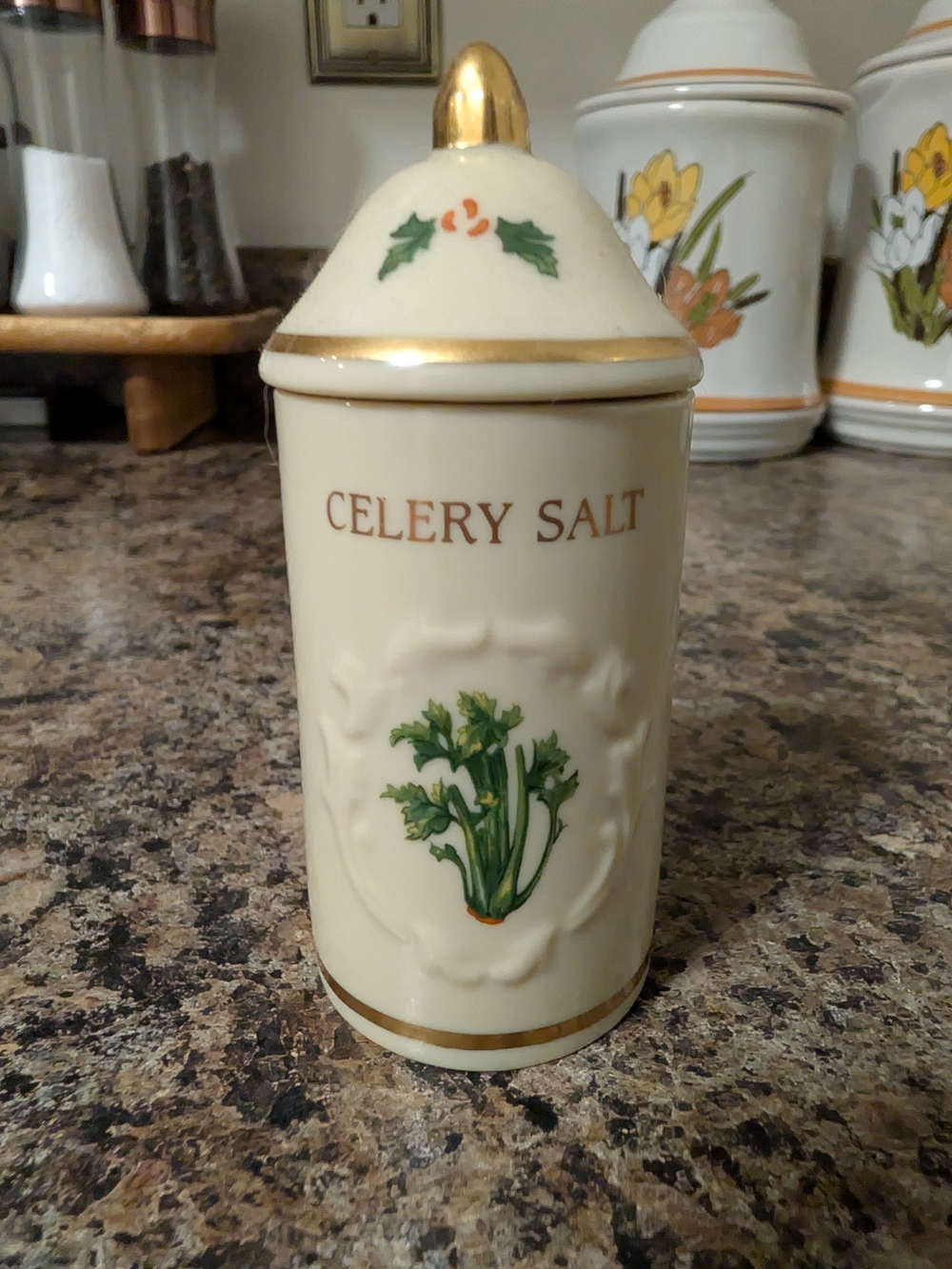 Celery Salt Ceramic Container Lenox Spice Garden